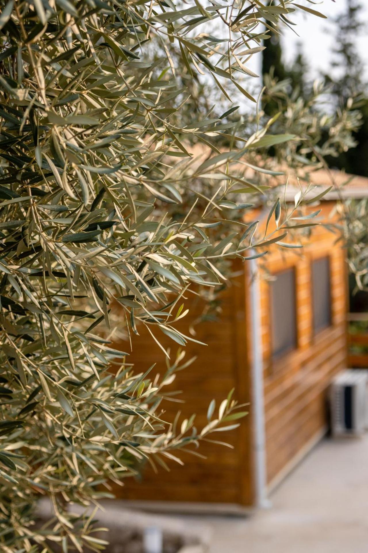 Agrelia Homes 2 Dragano Exterior foto